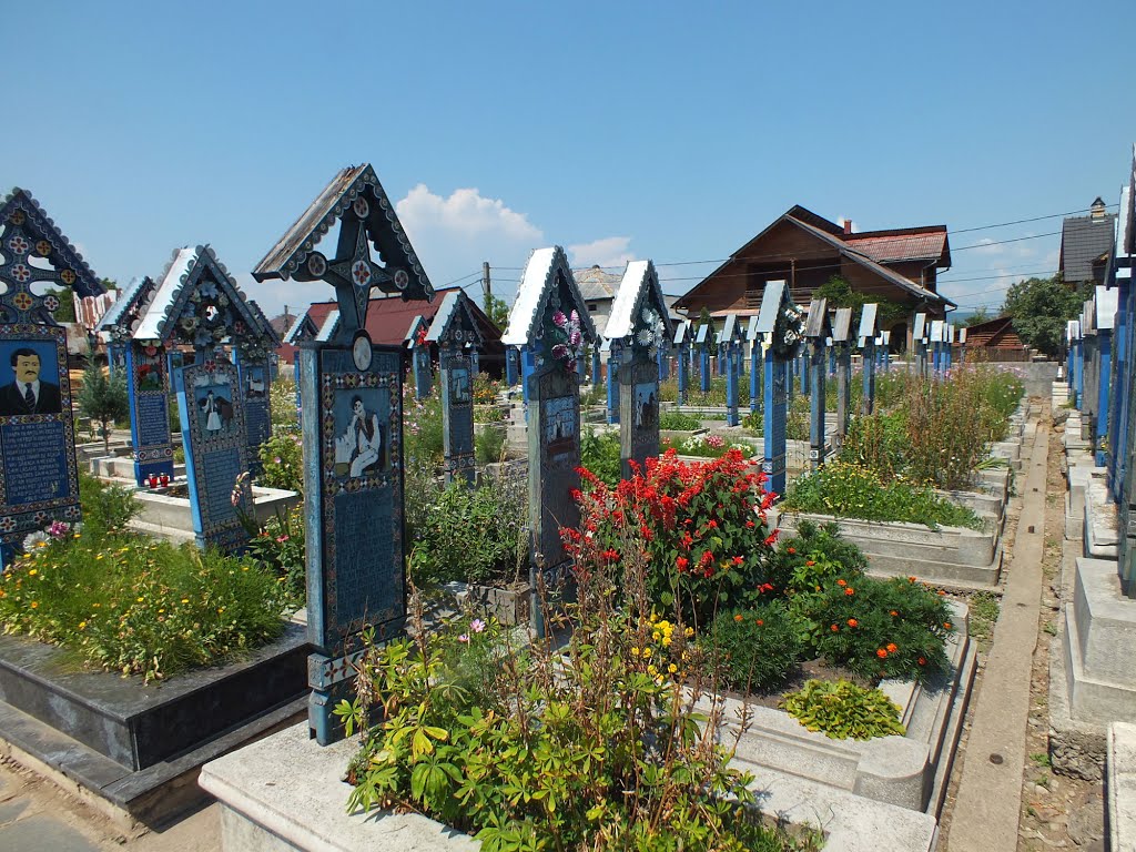 Cimitirul Vesel - Sapanta by Alexandru Losonczy