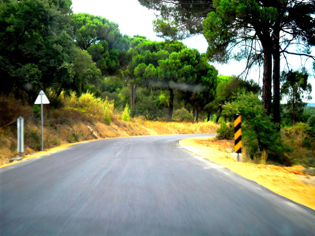 Estrada Municipal de Couço - Coruche (Santarém - Portugal) by Pedro Fernandes