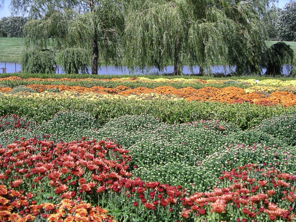 Chicago Botanic Garden in fall by cnestor4955