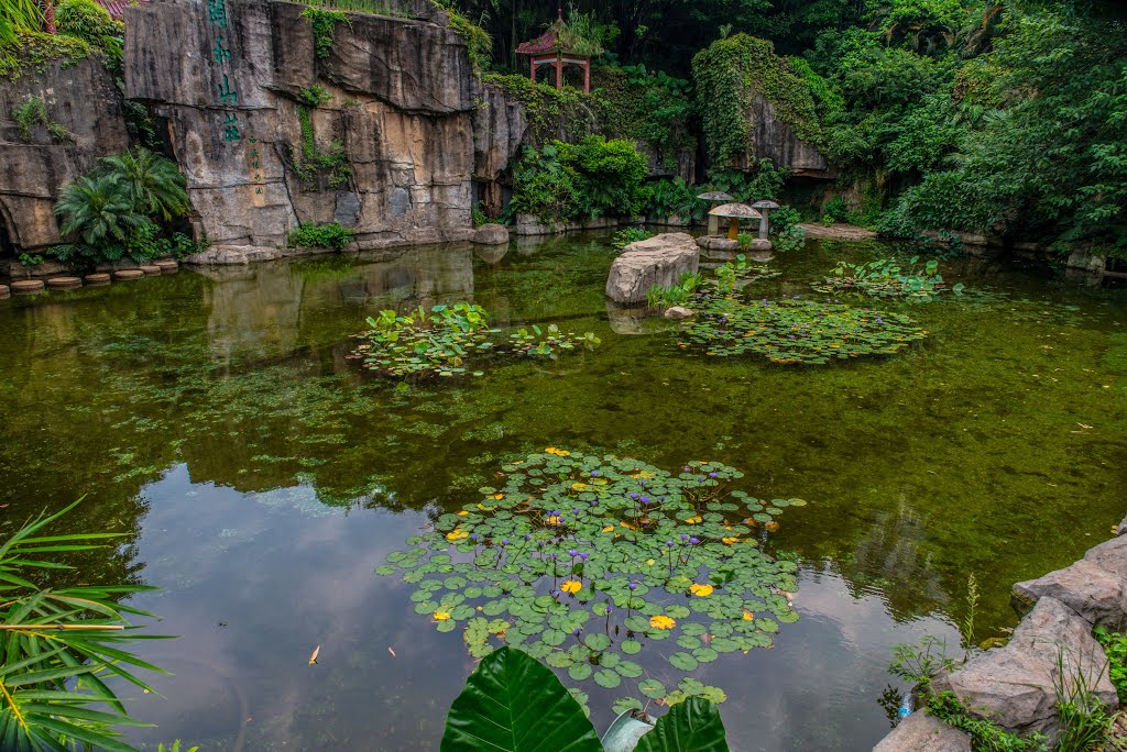 Baiyun, Guangzhou, Guangdong, China by Raimundo Maia Júnior