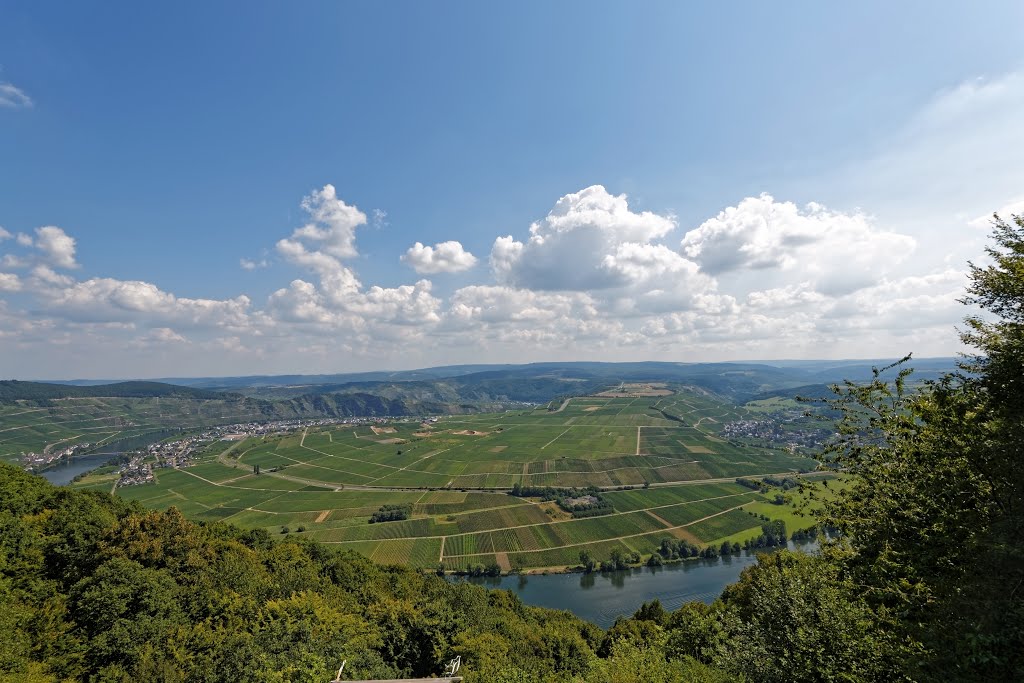 Blick ins Moseltal Piesport by Heinz Peierl