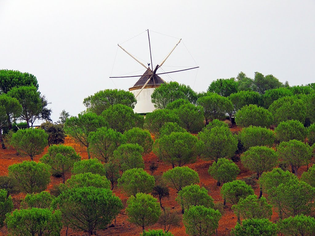 El Granado (Huelva) by Sebastian Aguilar