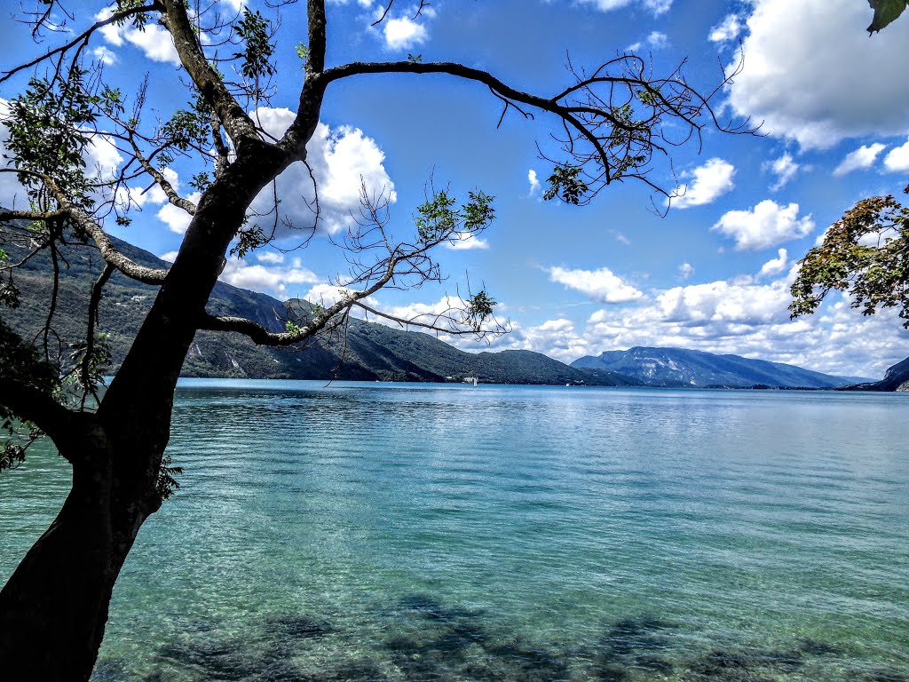 Le Lac du Bourget à St Innocent 1 by Matopée