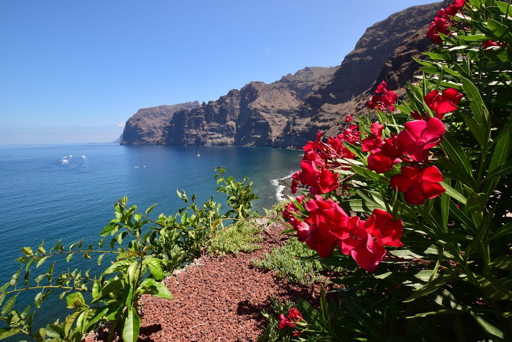 Acantilados de los Gigantes, Santa Cruz de Tenerife, Spain by Mo Banks Japanrot