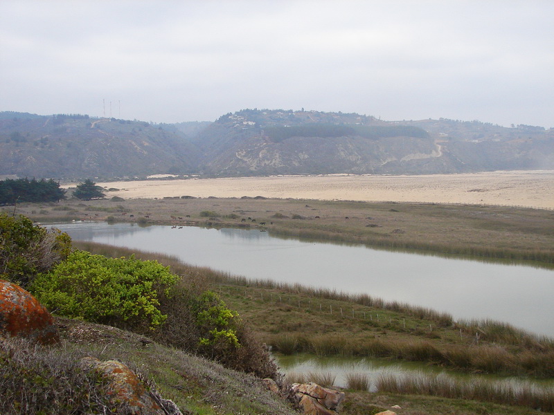 Humedal desembocadura estero Casablanca by Oscar Fernández C