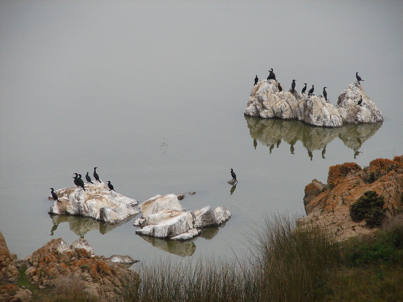 Islotes humedal estero Casablanca by Oscar Fernández C