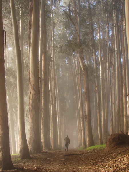 Caminante no hay camino... Papudo by Oscar Fernández C