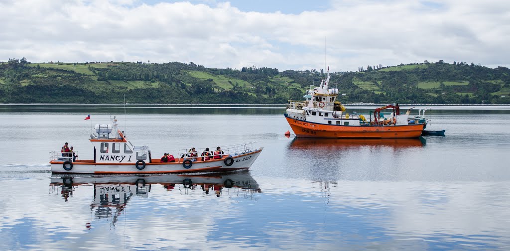 Castro (Chiloé) by Felipe Rodríguez