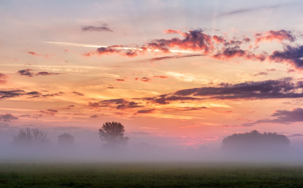 Győr, Hungary by Papp Ádám