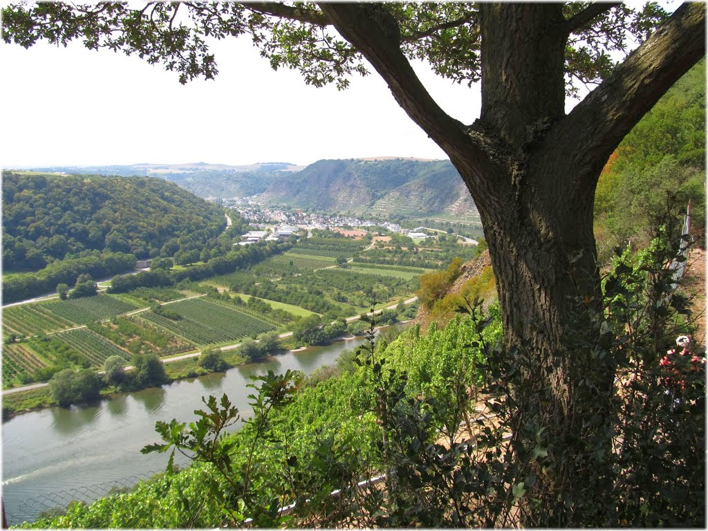 ©H)•08•15 / Blick ins Moseltal bei Winnigen / II by Hannes Th.