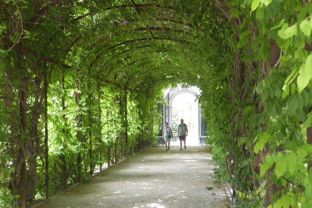 Schönbrunn, Wien, Austria by Annette Luehsen