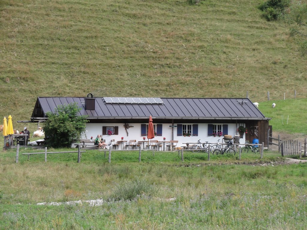 Dandlalm, Röthelmoosgebiet, Ruhpolding by stefan1107