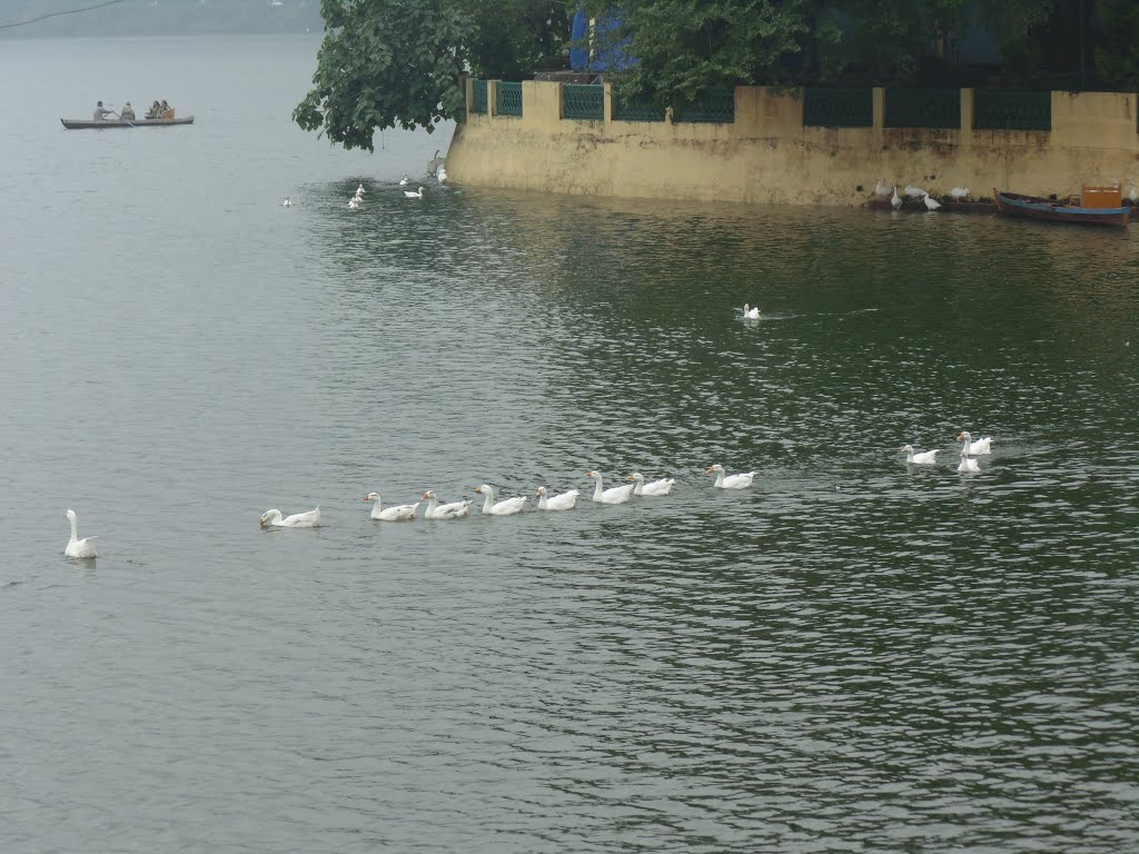 Nainital, Uttarakhand, India by Vinod Srivastava