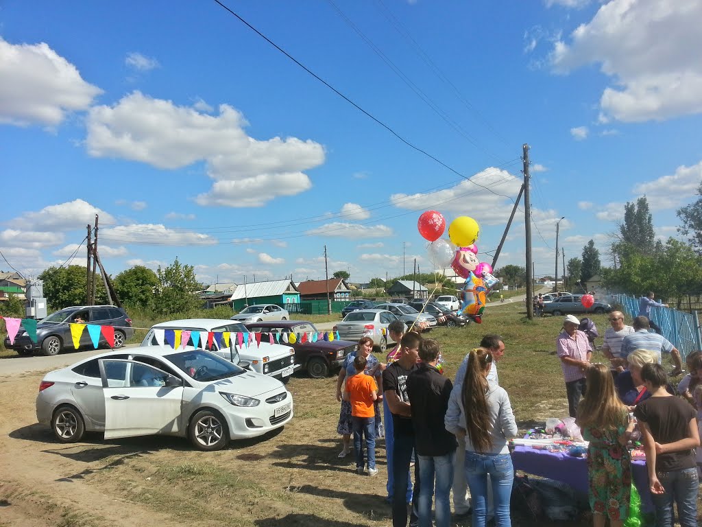 Orekhovka, Samarskaya oblast', Russia, 446651 by Николай Куркин