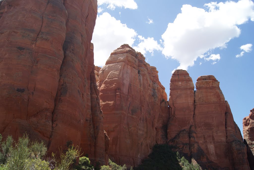 From end of Cathedral Rock Trail by Matt Lobdell