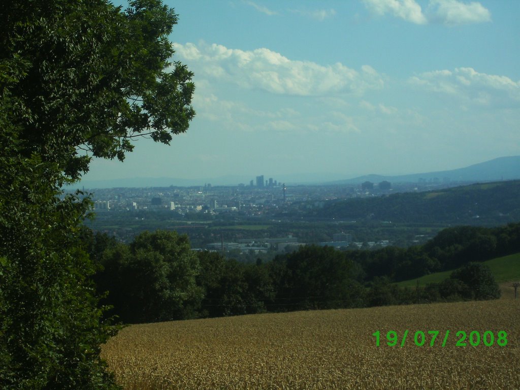 Blick auf Wien by Grimnir