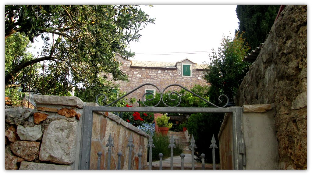 Old House- Stone Steps - Village Bol Croatia by Brano Boskovic