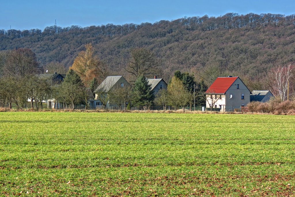 Zschopautal-Wanderweg - Töpelwinkel by Rudolf Henkel