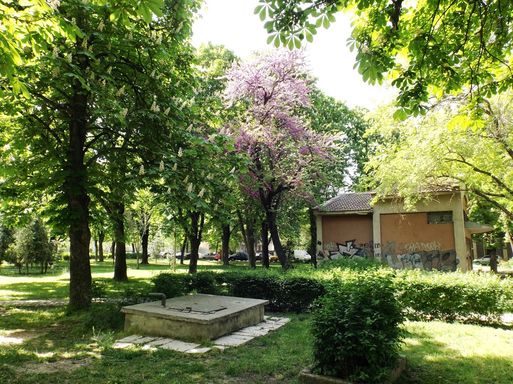 Пловдив, древен и вечен! Градинка срещу "Сточна гара" / Plovdiv, Bulgarien by Kurdo Kolenko