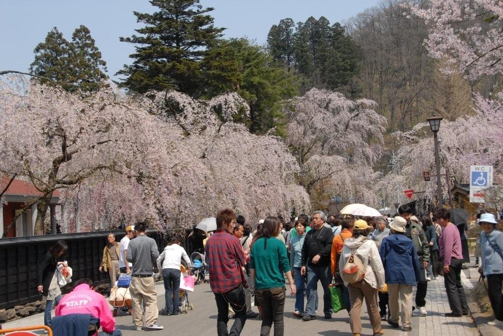 Kakunodate Hanami 角館　花見 by John Muzi