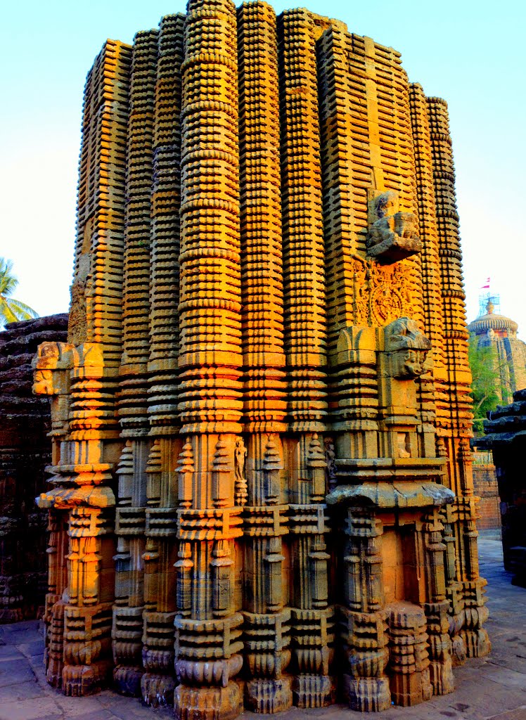 Chitrakarini Temple Complex,Lingaraj Nagar, Old Town, Bhubaneshwar, Odisha 751002, India by Kamalakar Anthati