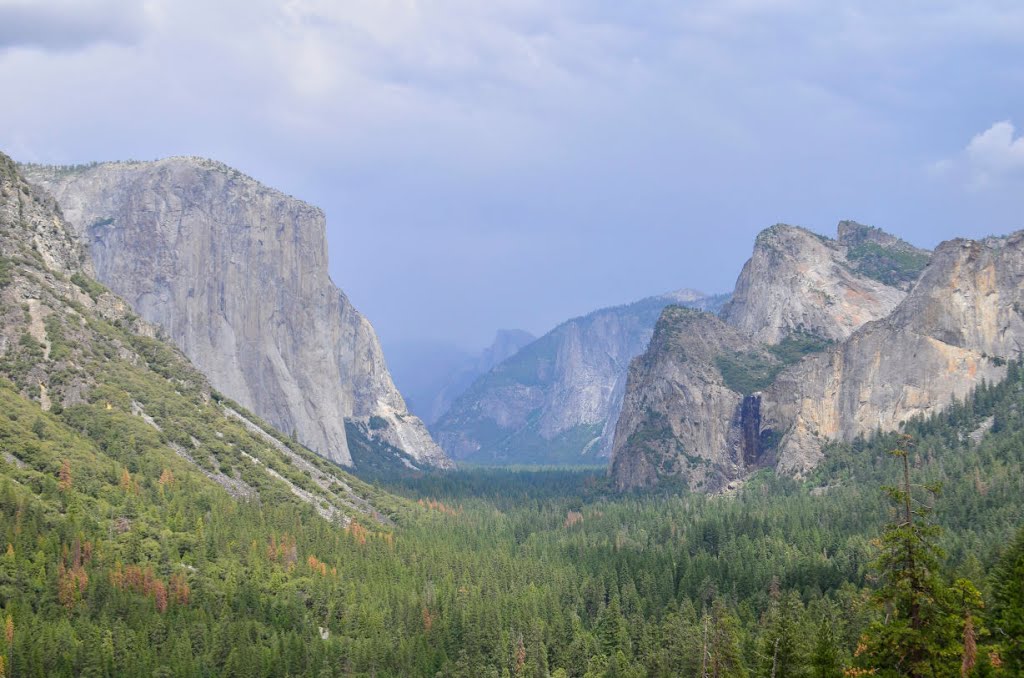 Mariposa County, CA, USA by Michael Shrayman