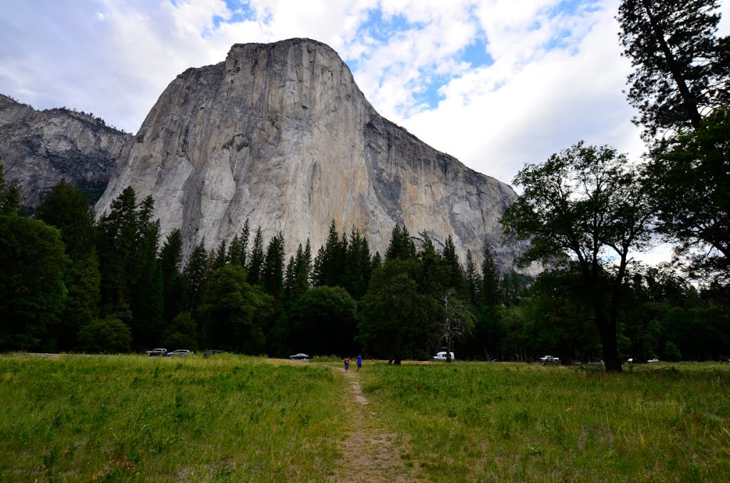 Mariposa County, CA, USA by Michael Shrayman