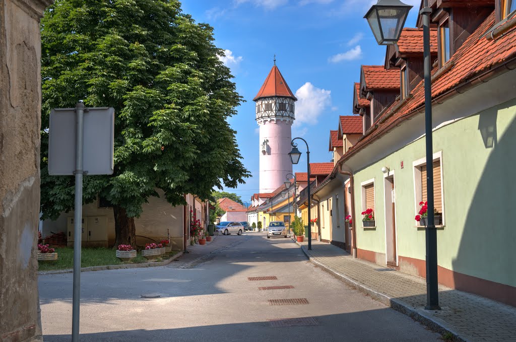 Water tower of Brežice by rlubej