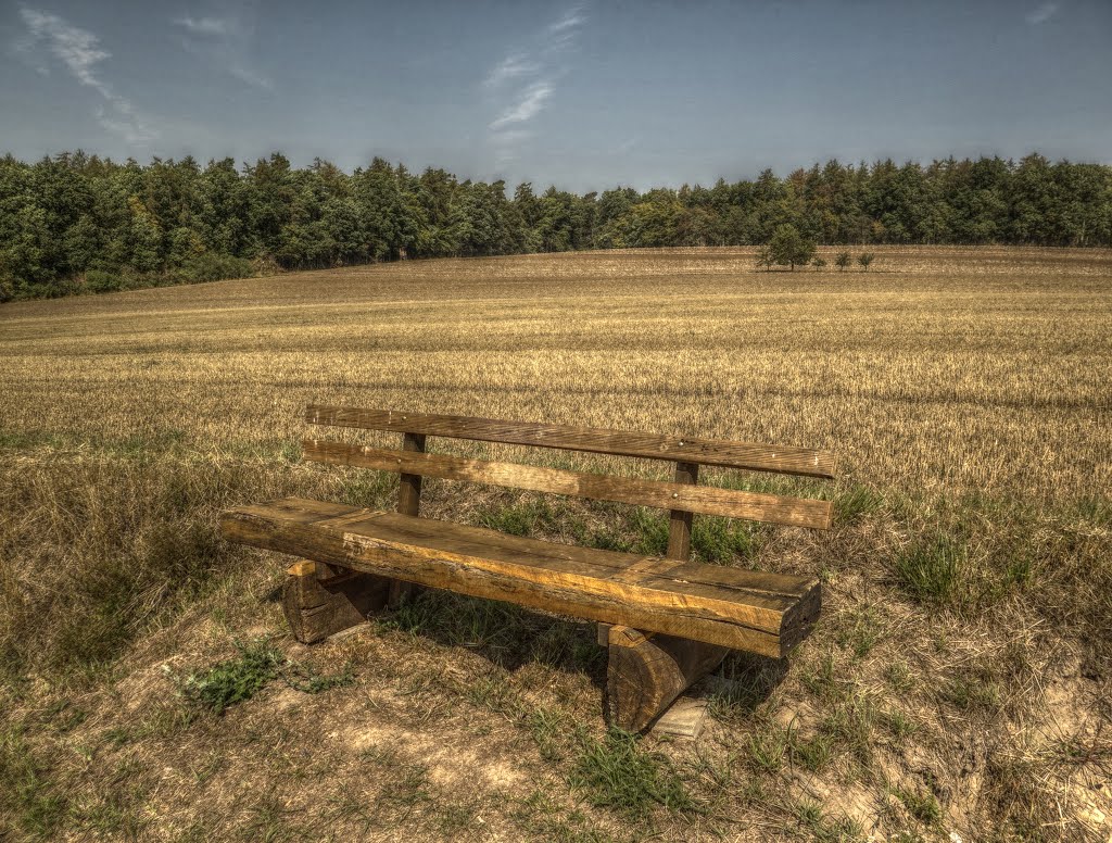 Bank oberhalb von Stettfeld by Stephan van Helden