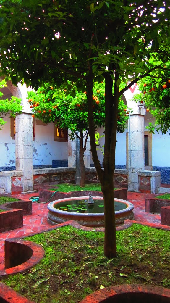 Claustro do Convento dos Cardais, Lisboa, Portugal by Margarida Bico