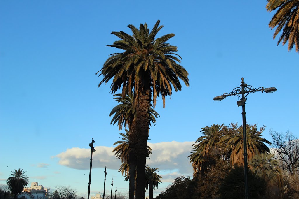 Mendoza, Capital Department, Mendoza Province, Argentina by bereleo1