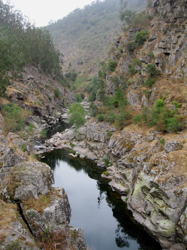 O Paiva, na ponte by A Almeida