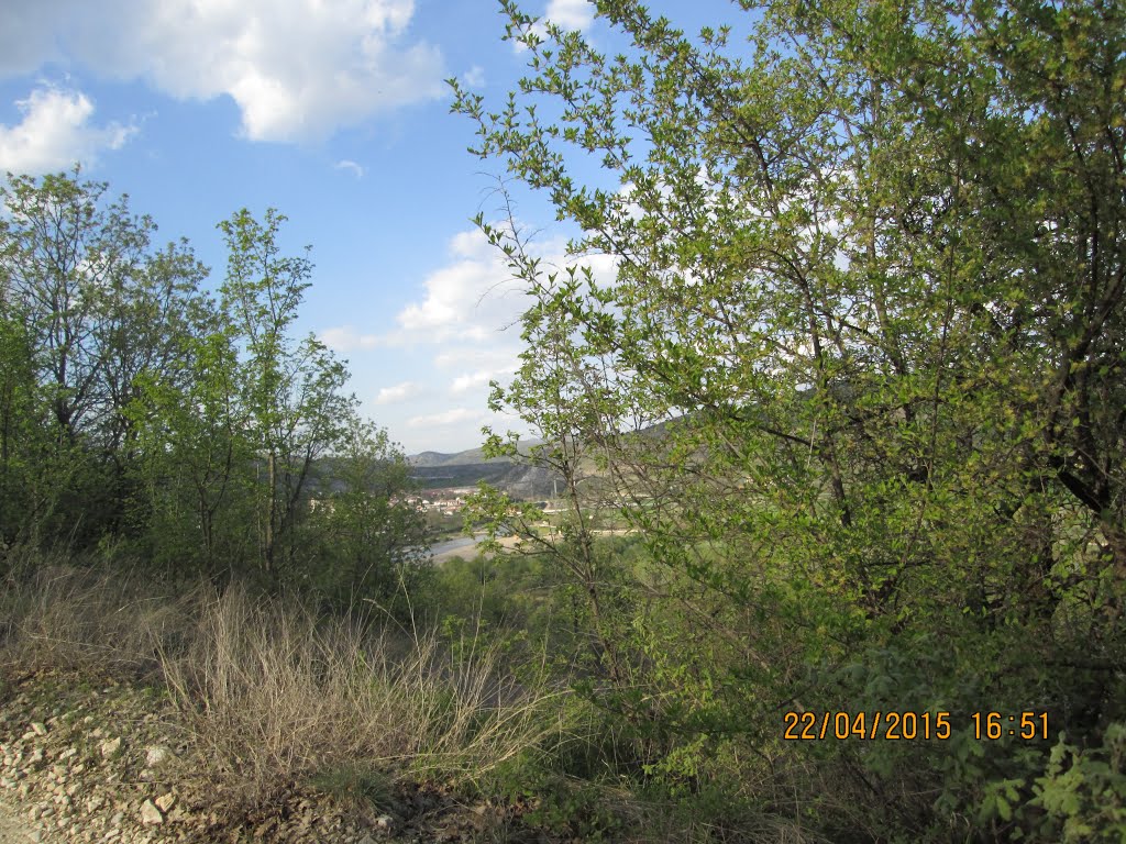 Badar - Katlanovo, MACEDONIA by Potirov