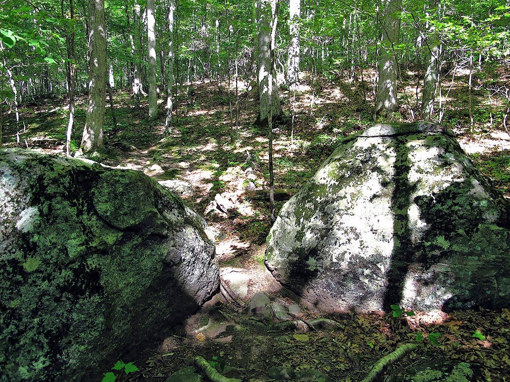 Trail Cuts Through Two Boulders by Tom Choma