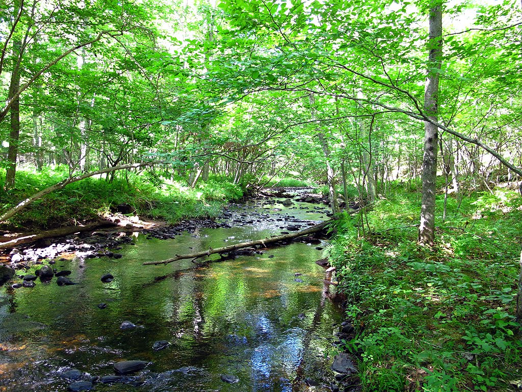 Fenton River by Tom Choma