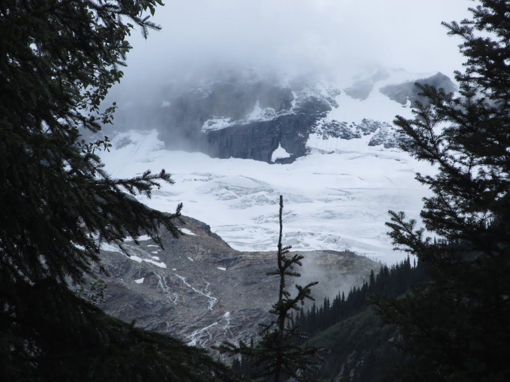 The Glacier Clad Mountainside Naturally Framed In Glacier National Park BC Jul '15 by David Cure-Hryciuk