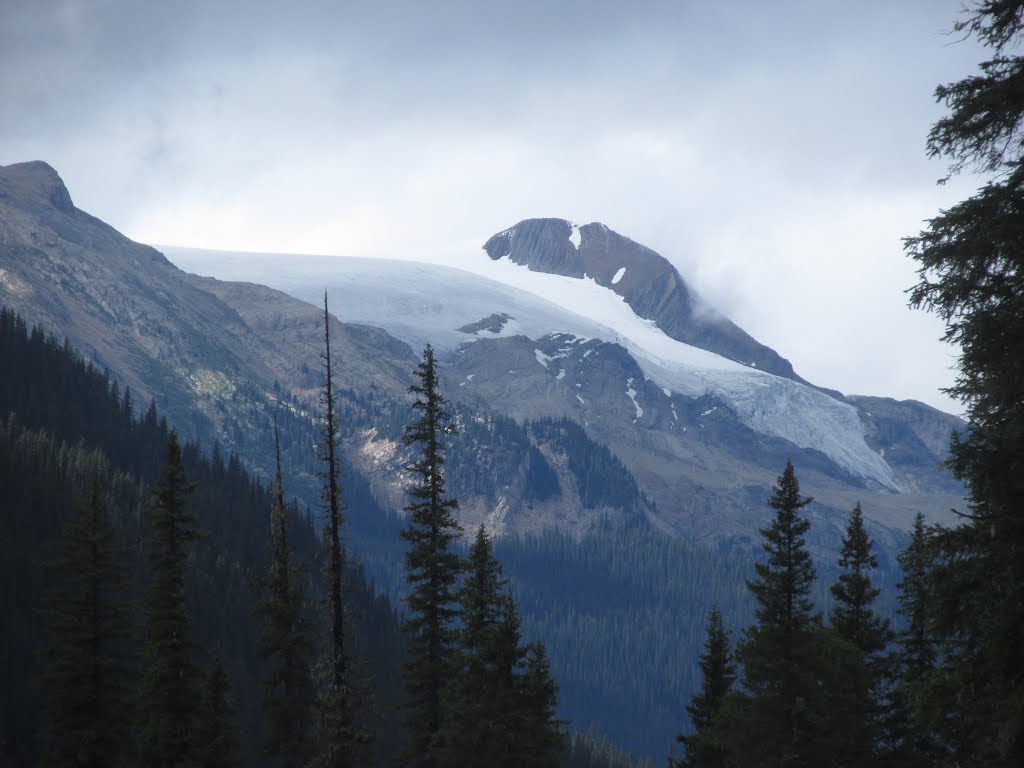 A Glacier Extending Off The High Mountain Ridge In Yoho National Park BC Jul '15 by David Cure-Hryciuk