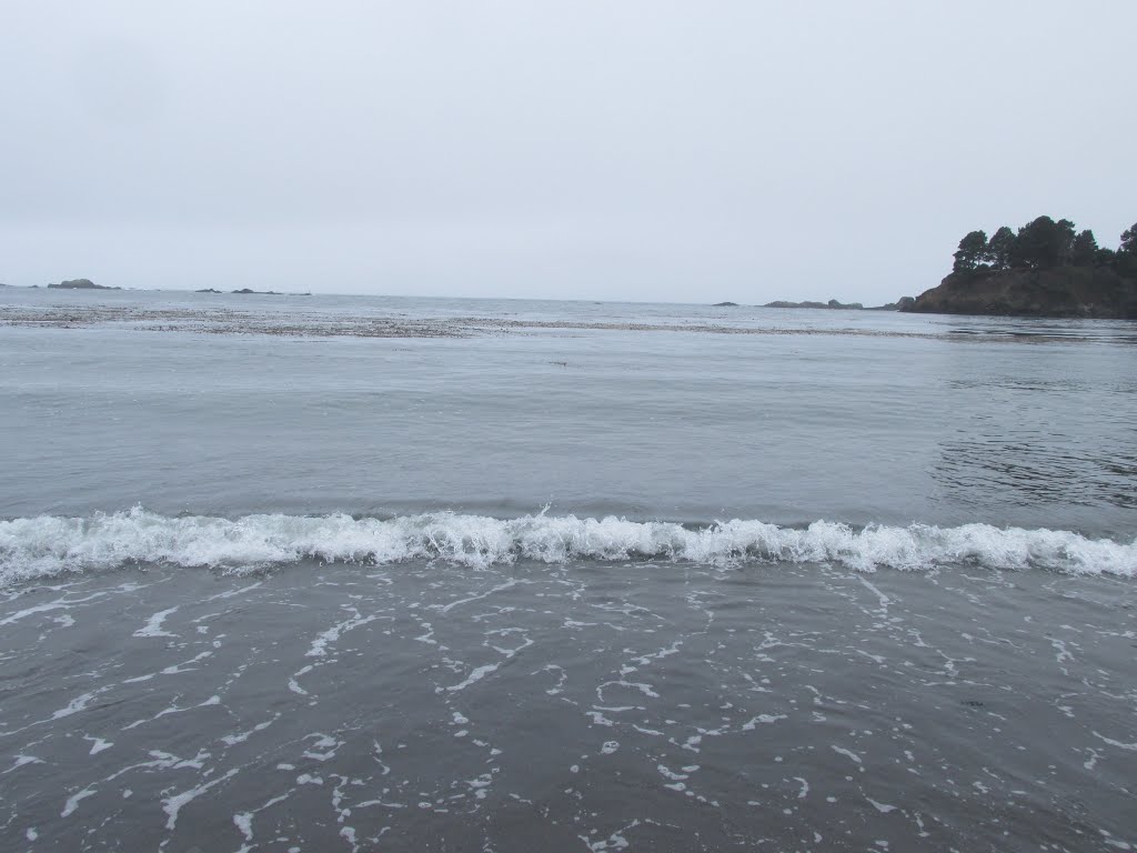 Ocean Waves Coming Ashore At Van Damme State Park, California Jul '15 by David Cure-Hryciuk