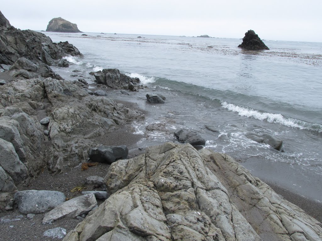 On The Rocks At Van Damme State Park, California Jul '15 by David Cure-Hryciuk