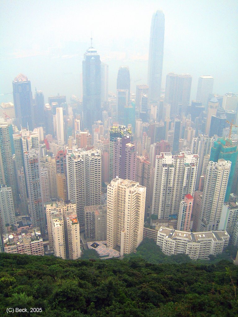 Hong Kong View From Victoria Peak by abek