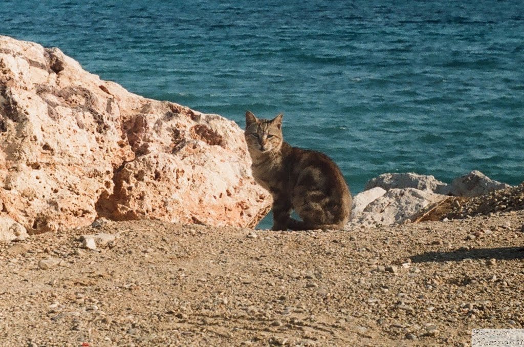 Glyfada, Greece by Βασίλης Καπόγιαννης