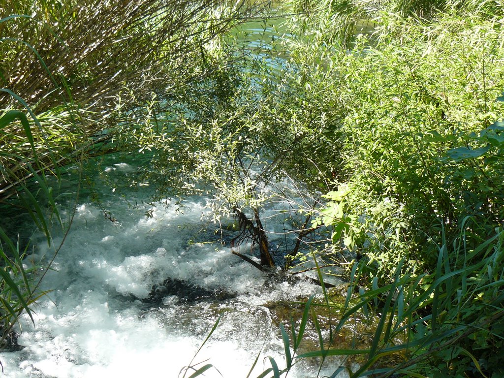 Slapovi krke, Parcul national Krka by bogdan 77