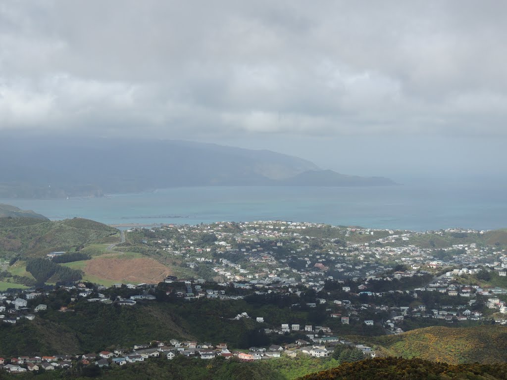 Owhiro Bay, Wellington 6023, New Zealand by Stewart Trammell