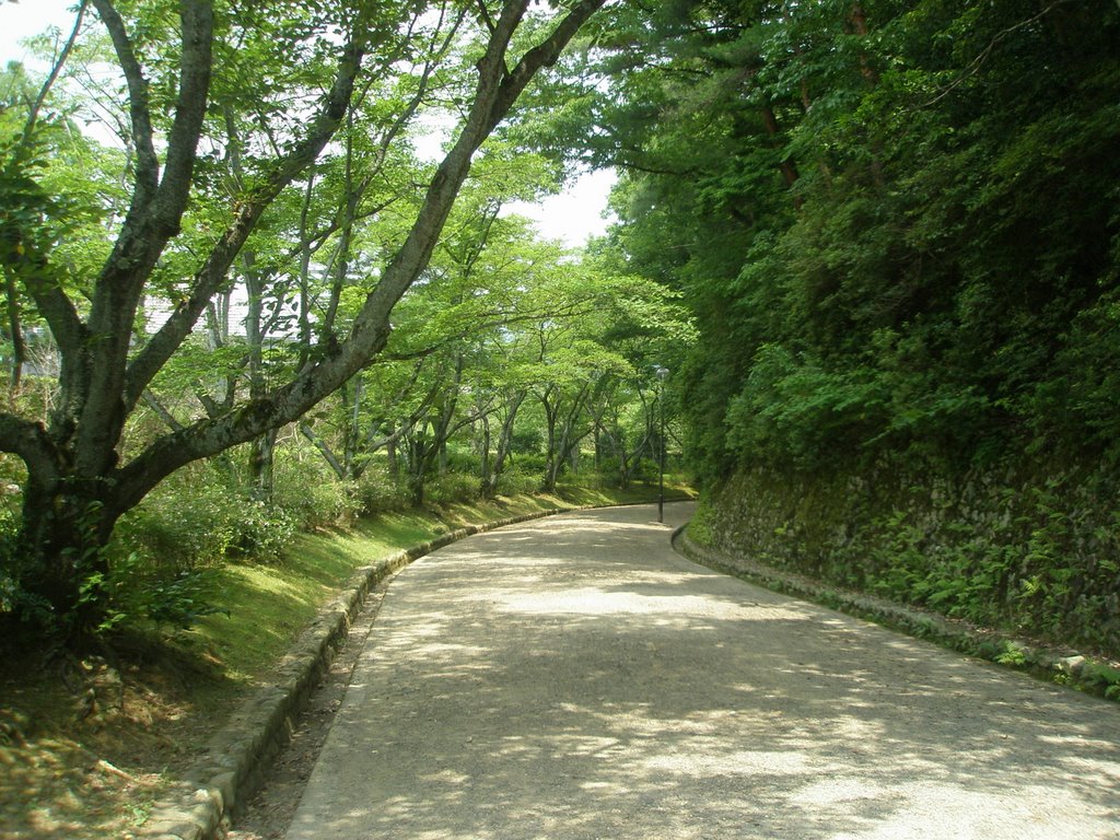 Path to the North Park (Hoku-en) by KyotonoKappa