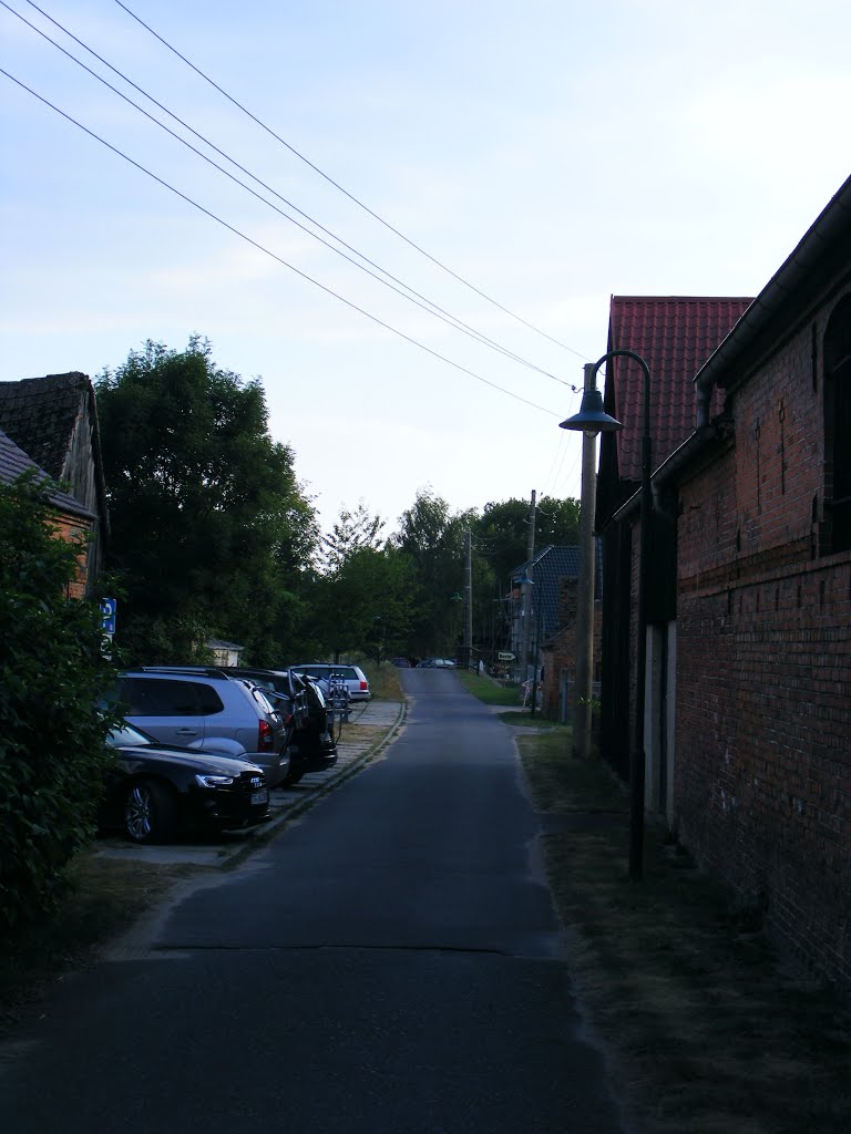 Schlepzig, Amt Unterspreewald, Niederlausitz. Dorfstraße zum Niwaweg. by velthurvik