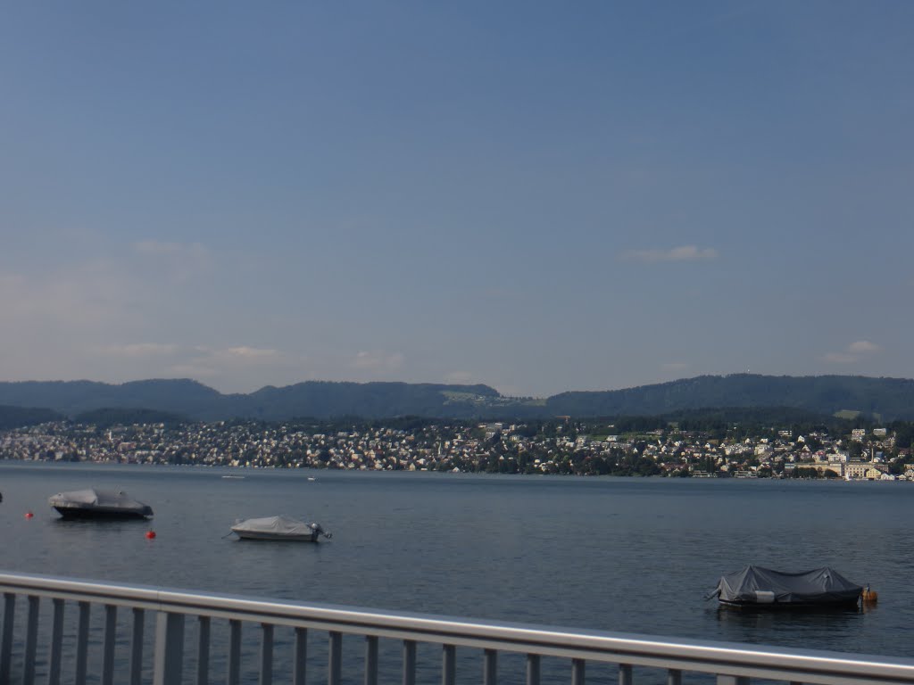 Lake Zurich by Eanna Grealish