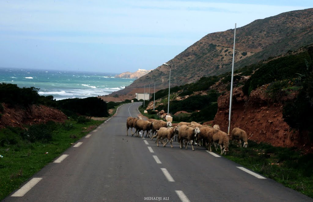 Gdyel 31260, Algeria by Ali Mehadji