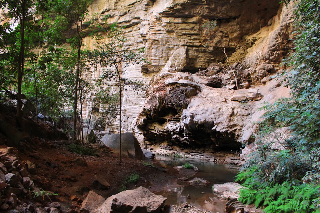 Parque Nacional Cavernas do Peruaçu by Clésio Robert Caldei…