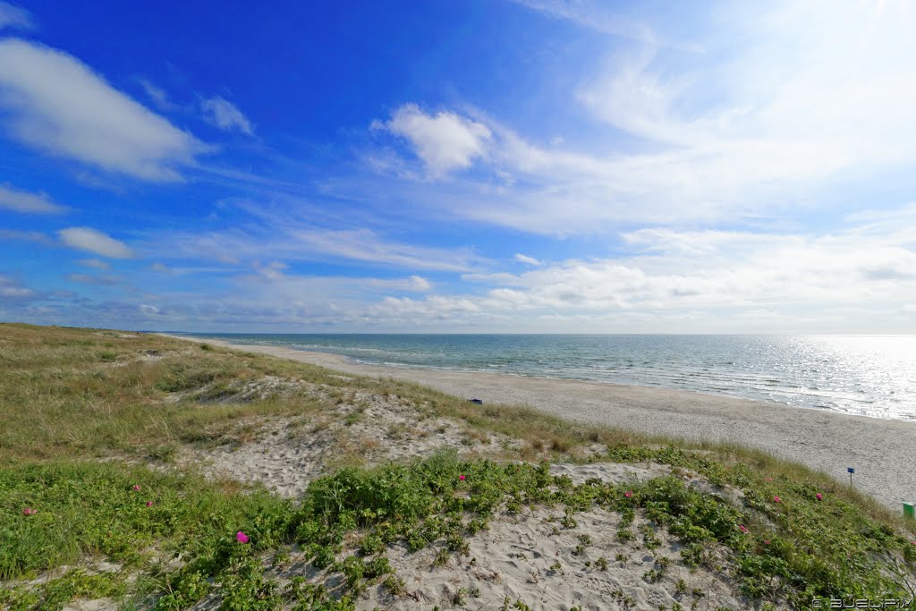 Am Strand bei Smiltyne (© Buelipix) by Buelipix