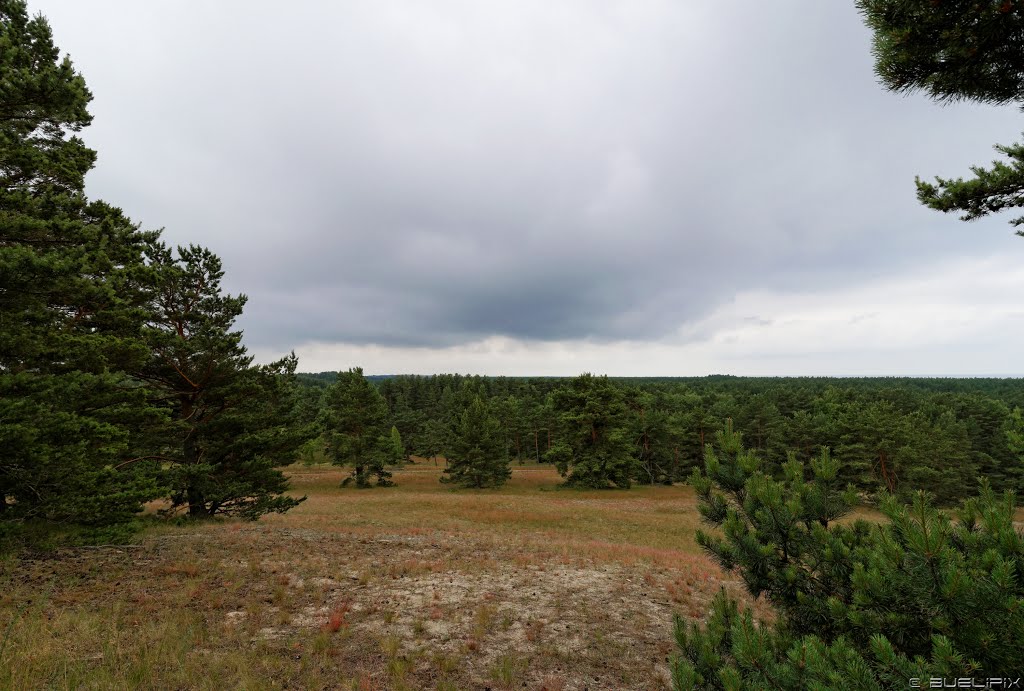 Unterwegs auf der Kurischen Nehrung (© Buelipix) by Buelipix